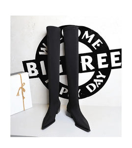 BIGTREE Shoes Women Sexy Over The Knee Boots Pointed Top Stretch Boots Thick Heel High Boots Black Long Boots Autumn Winter Shoe