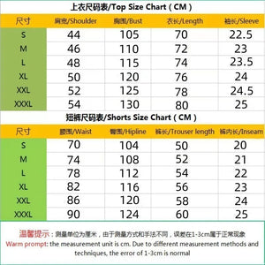 Summer Men Sports Polo Suit Short Sleeve Stylish Zipper Polo Shirt And Shorts Set Men Casual Streetwear 2-pie Leisure Sports Set